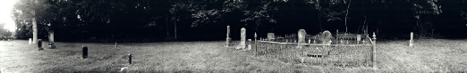 159 Old Pleasant Park Cemetery Near DeWitt, Missouri ( 2022 )